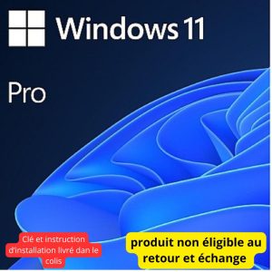 Licence Windows 11 Professionnel