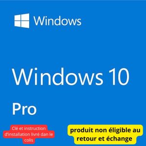 Licence Windows 10 Professionnel